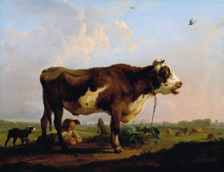 A Bull
